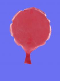 1536x2048_201595202127.jpg